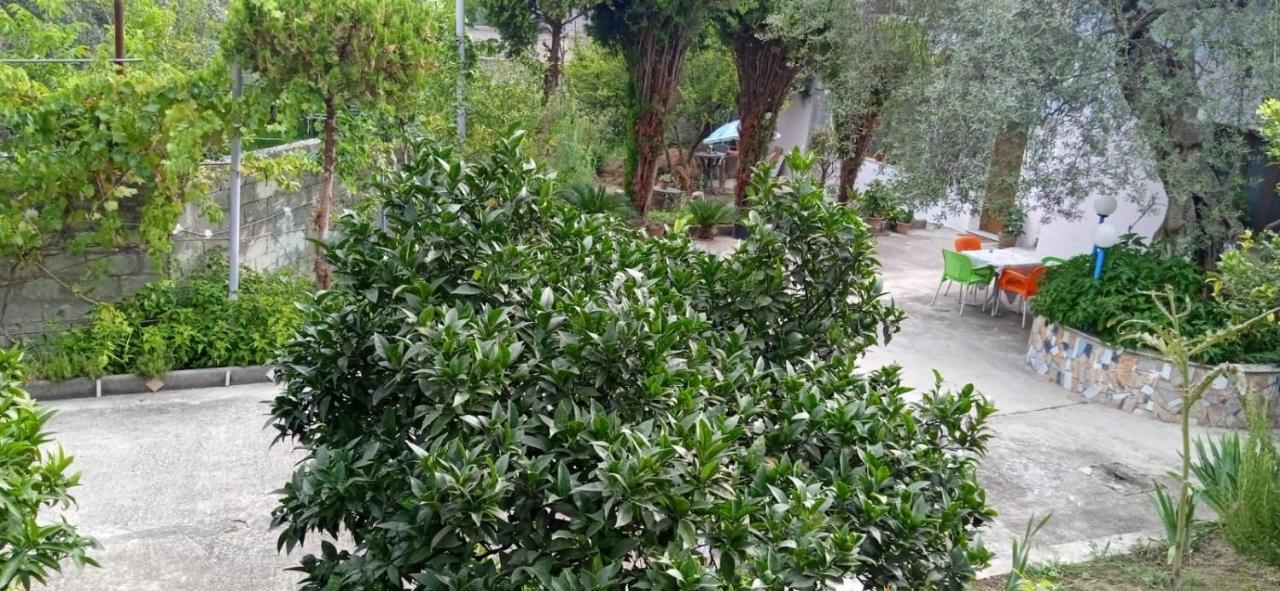 Green Oasis Holiday Home Vlorë エクステリア 写真